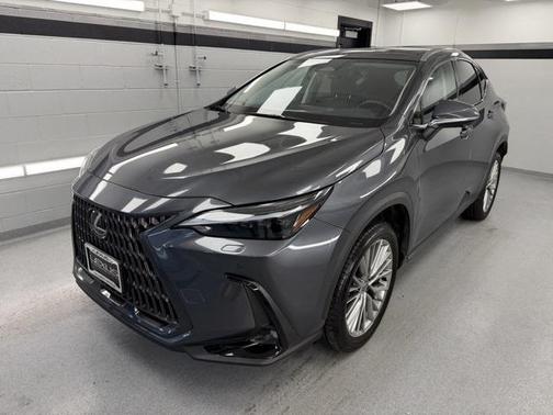 2024 Lexus NX 350h Luxury