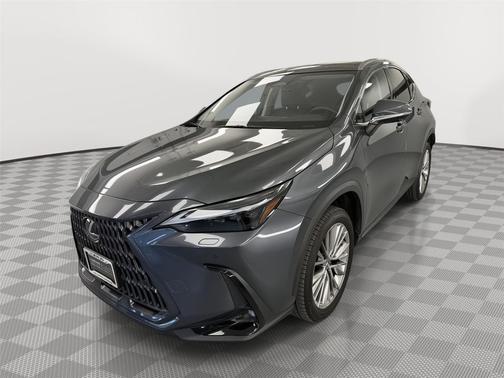 Cloudburst Gray 2024 Lexus NX 350h Luxury