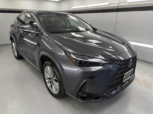 2024 Lexus NX 350h Luxury