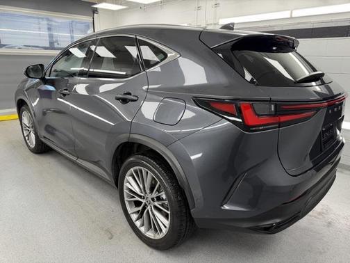 2024 Lexus NX 350h Luxury