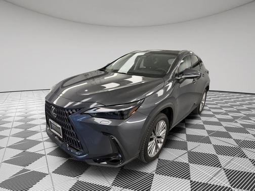 2024 Lexus NX 350h Luxury