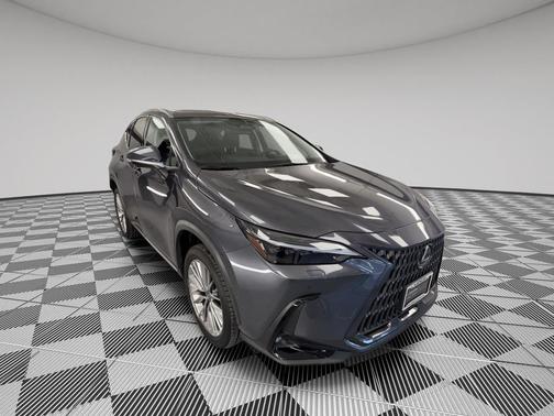 2024 Lexus NX 350h Luxury