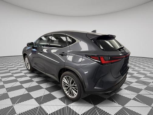 2024 Lexus NX 350h Luxury