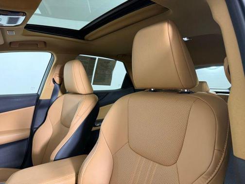 2025 Lexus NX 250 Premium