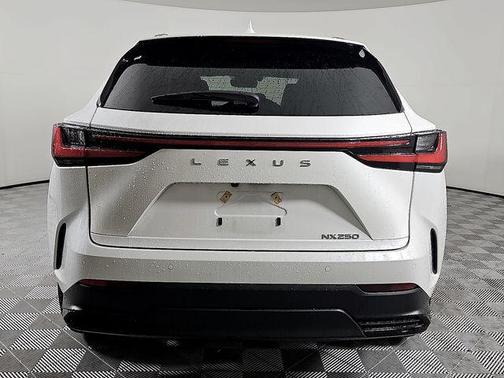 2025 Lexus NX 250 Premium