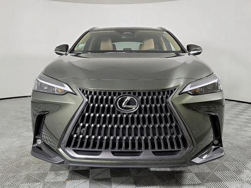 2025 Lexus NX 250 Premium