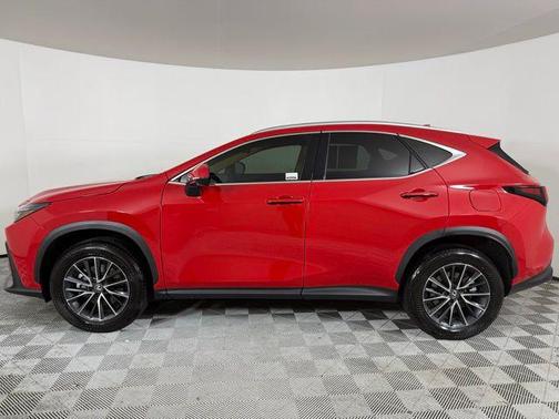 2025 Lexus NX 250 Premium