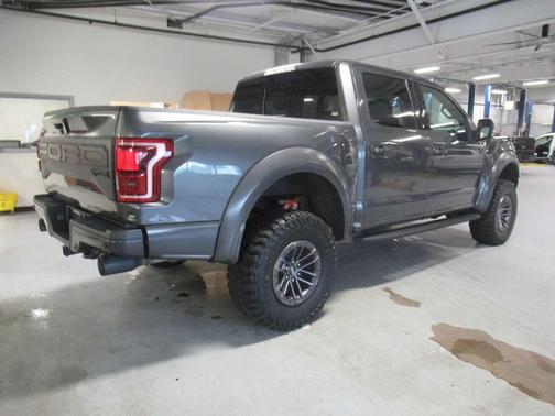 MAGNETIC 2019 Ford F-150 Raptor