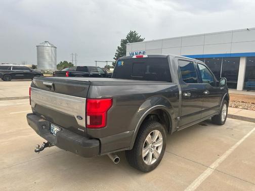 Magnetic 2020 Ford F-150 Platinum