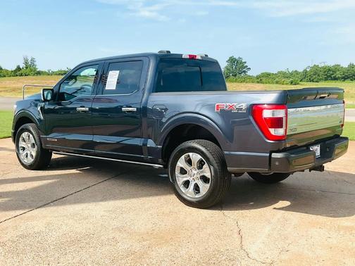 2021 Ford F-150 Platinum