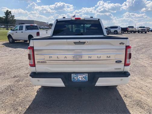 2021 Ford F-150 Platinum