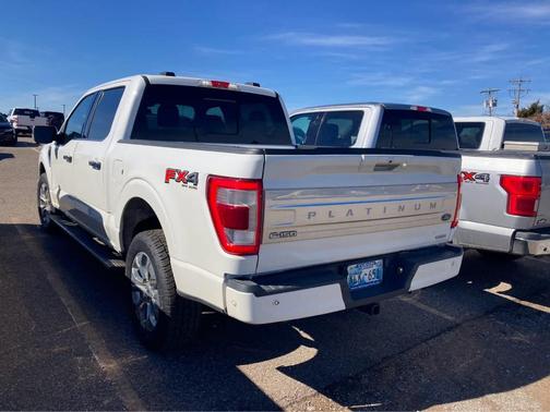 2021 Ford F-150 Platinum