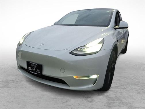 2020 Tesla Model Y Performance Dual Motor All-Wheel Drive