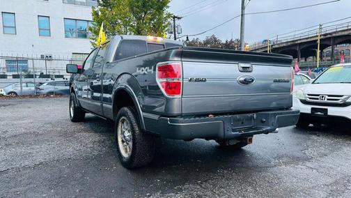 2010 Ford F-150 Platinum