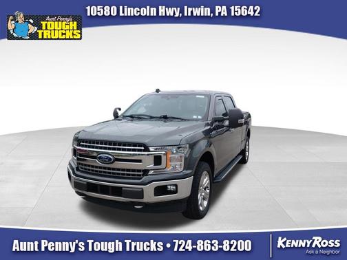 Magnetic 2019 Ford F-150 XLT