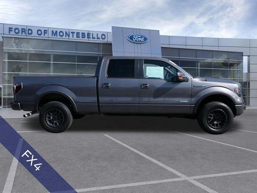 Sterling Gray Metallic 2013 Ford F-150 FX4