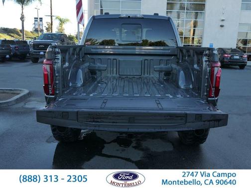 Gray Metallic 2025 Ford F-150 Raptor