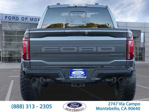 Gray Metallic 2025 Ford F-150 Raptor