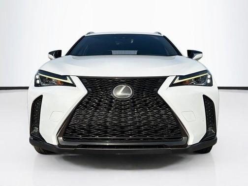 2019 Lexus UX 200 F Sport