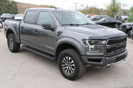 Magnetic 2020 Ford F-150 Raptor