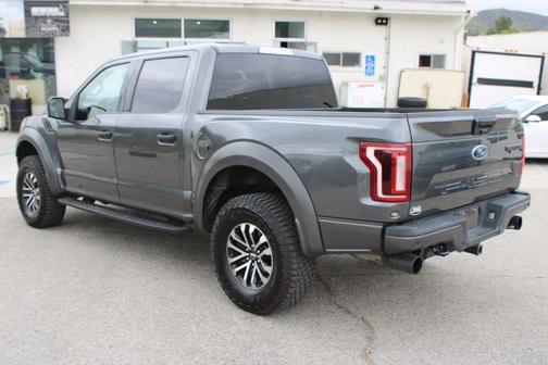 Magnetic 2020 Ford F-150 Raptor