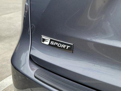 Nebula Gray Pearl 2021 Lexus NX 300 F Sport