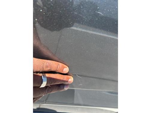 MAGNETIC 2019 Ford F-150 XLT