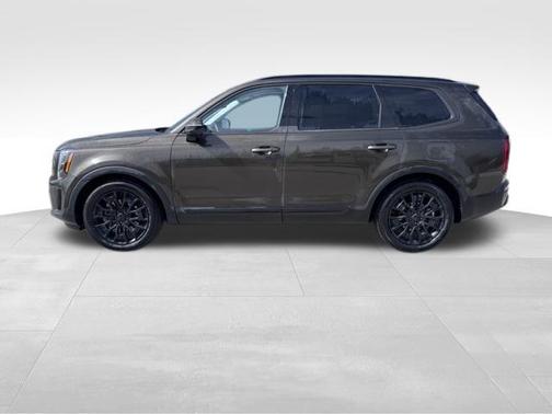 Dark Moss 2021 Kia Telluride SX