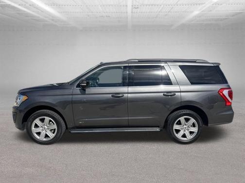 Magnetic 2020 Ford Expedition XLT
