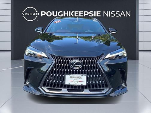 2023 Lexus NX 350 Premium