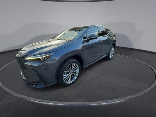 2023 Lexus NX 350 Luxury