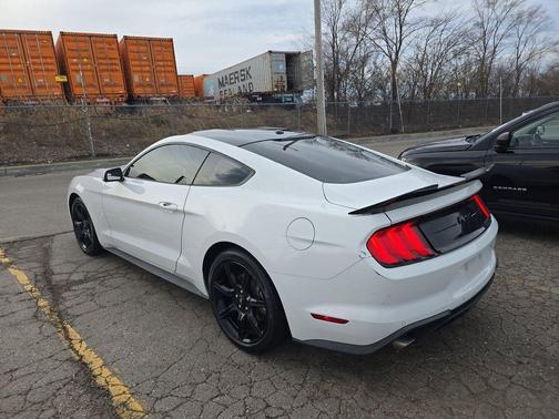 OXFORD WHITE 2019 Ford Mustang EcoBoost