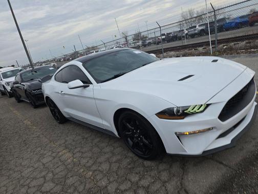 OXFORD WHITE 2019 Ford Mustang EcoBoost