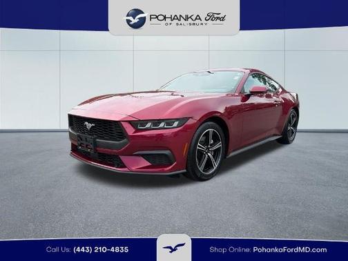 MOLTEN MAGENTA METALLIC TC 2025 Ford Mustang ECOBOOST PREMIUM