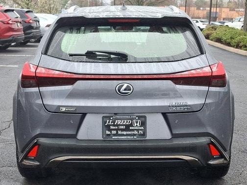 Nebula Gray Pea 2021 Lexus UX 250h F Sport