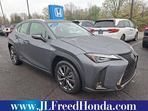 Nebula Gray Pea 2021 Lexus UX 250h F Sport