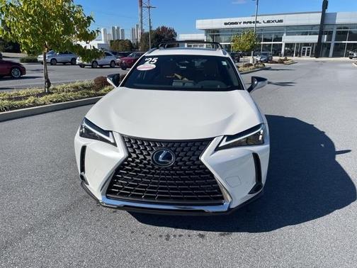 2025 Lexus UX 300h Premium