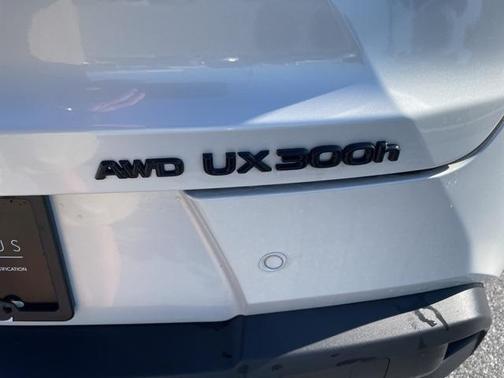 2025 Lexus UX 300h Premium