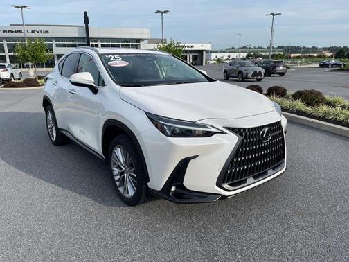 2025 Lexus NX 350 Premium