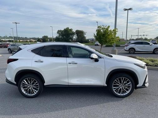 2025 Lexus NX 350 Premium