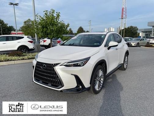 2025 Lexus NX 350 Premium