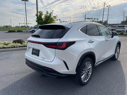 2025 Lexus NX 350 Premium