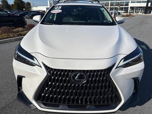 2025 Lexus NX 350h Premium