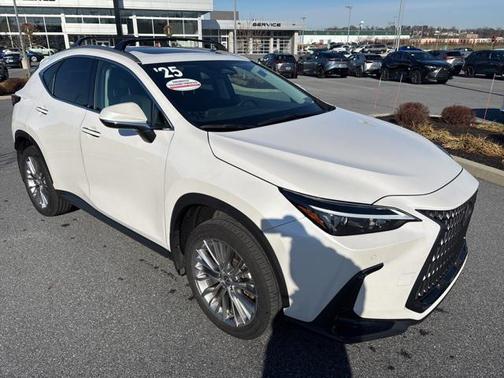 2025 Lexus NX 350h Premium