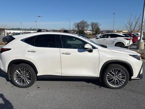 2025 Lexus NX 350h Premium