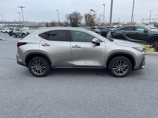 2023 Lexus NX 350 Premium