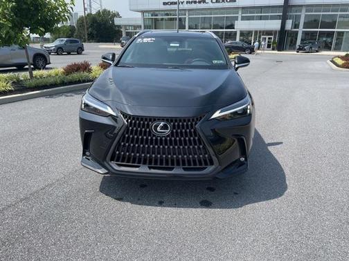 2025 Lexus NX 350 350 Base