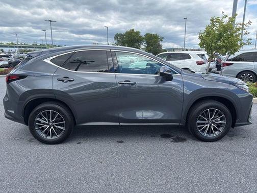 Cloudburst Gray 2025 Lexus NX 350 Premium