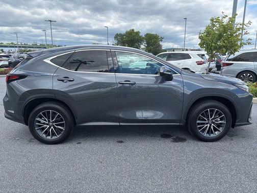 Cloudburst Gray 2025 Lexus NX 350 Premium