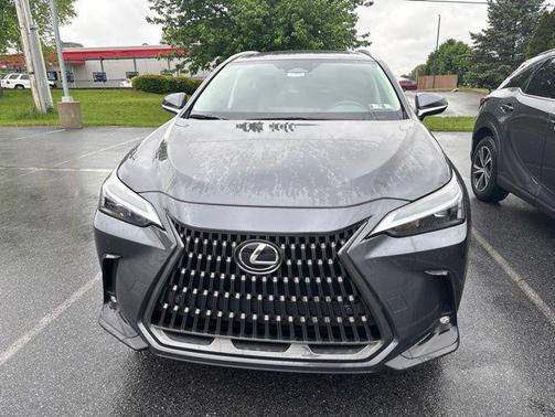 Cloudburst Gray 2025 Lexus NX 350 Premium